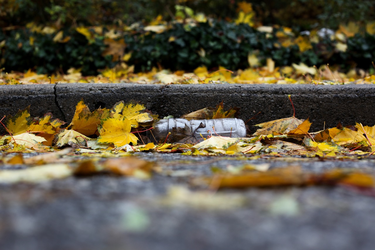 The Pros and Cons of Incineration as a Waste Management Method